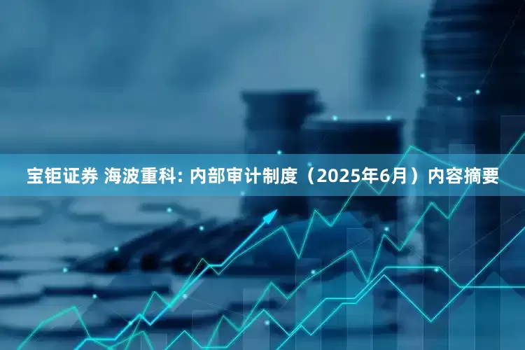 宝钜证券 海波重科: 内部审计制度（2025年6月）内容摘要