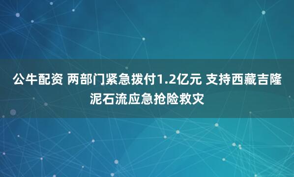 公牛配资 两部门紧急拨付1.2亿元 支持西藏吉隆泥石流应急抢险救灾