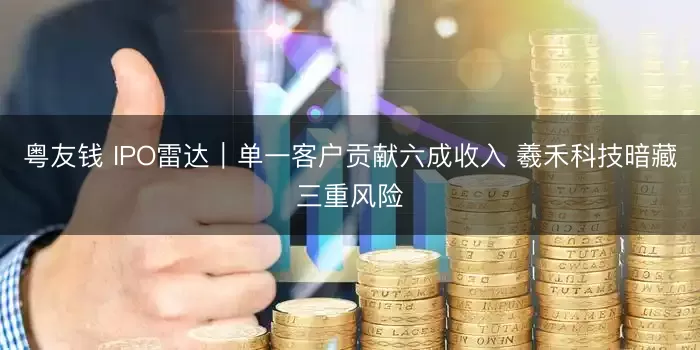 粤友钱 IPO雷达｜单一客户贡献六成收入 羲禾科技暗藏三重风险